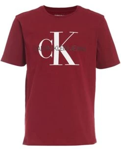 Calvin Klein Boys' Classic Ck Logo Crew Neck Tee | Shirts & Tops