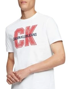 Calvin Klein Men's Big and Tall Ck Logo T-Shirts | Shirts & Tops
